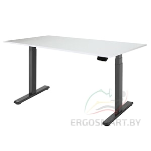 Стол Ergo Desk Pro черый/альпийский белый 1380х800х18 мм