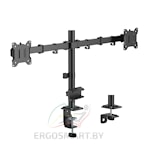 Кронштейн для 2-х мониторов Twin II Hold